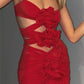 Red Rose Dress set