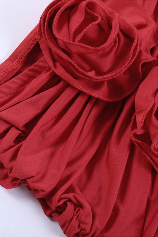 Red Rose Dress set