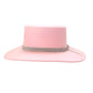 Barbie Cowgirl Hat