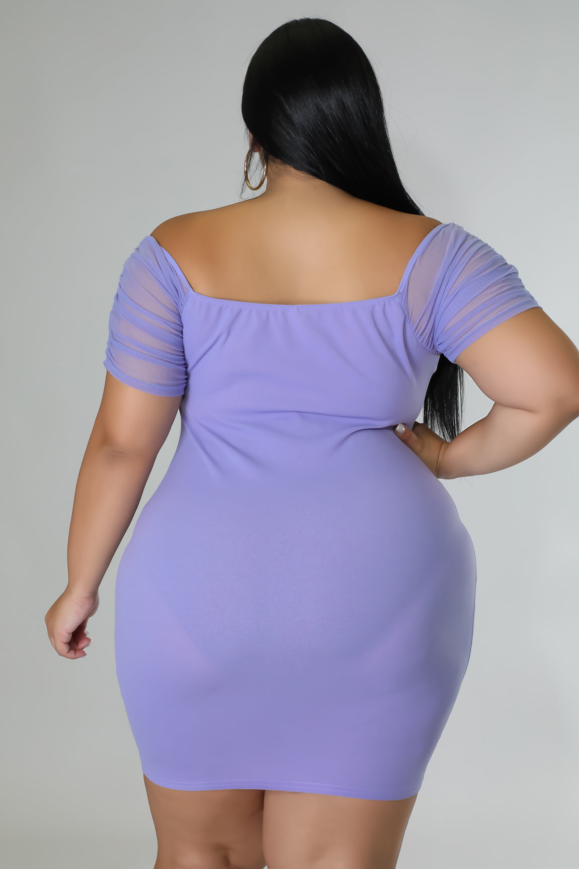 Curvy Purple Victoria Dress