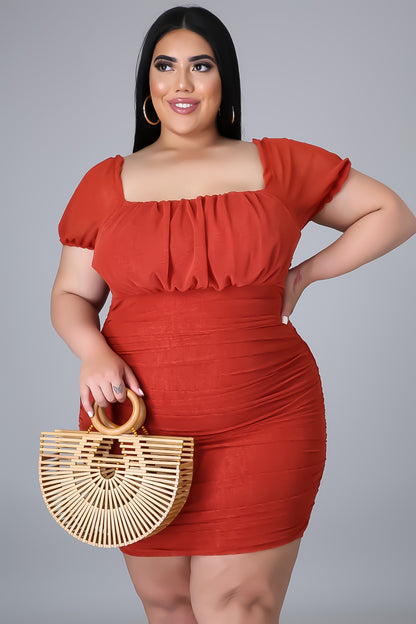 Curvy Rust Live Babe Dress